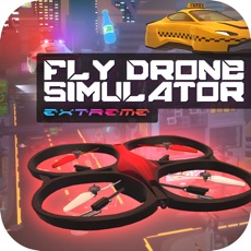 Activities of Fly Drone Simulator