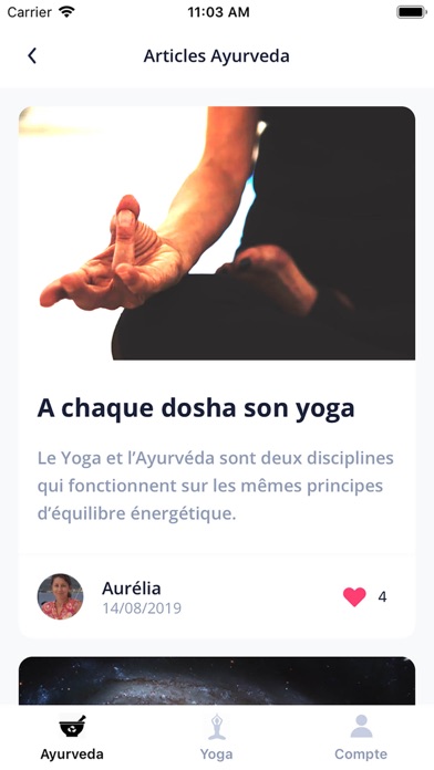 Ayurveda Yoga Meditation screenshot 3