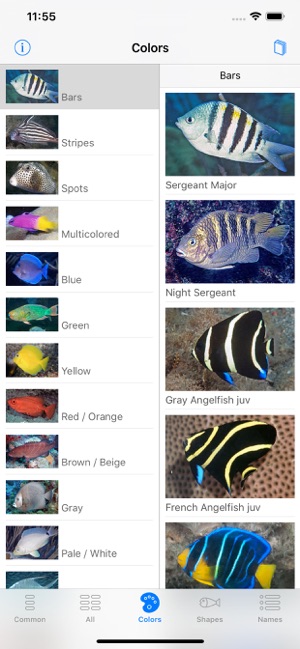 Easy Fish ID Caribbean(圖6)-速報App