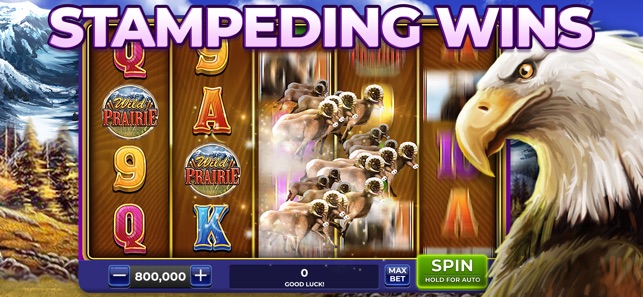 Star Spins Slots: Top Games(圖6)-速報App