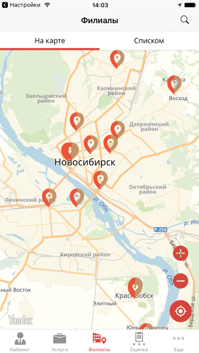 МФЦ Новосибирской области screenshot 4