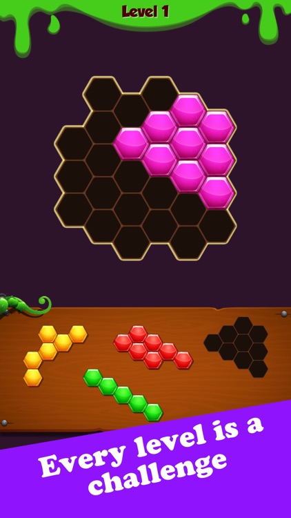 Hexa Block Puzzle: Challenge