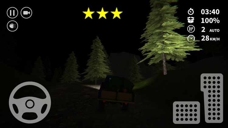 Cargo Truck Car Simulator 2020 screenshot-3