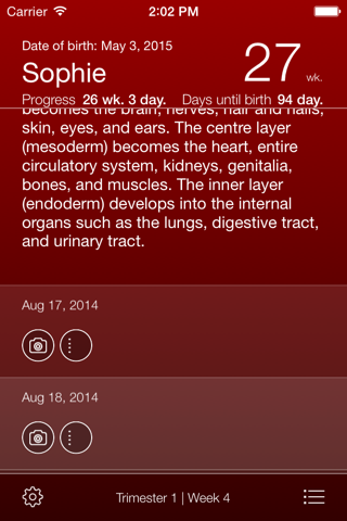 Pregnancy App - náhled