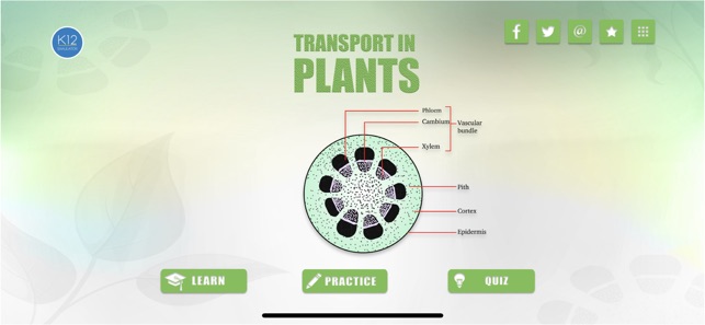 Transport in Plants Biology(圖1)-速報App