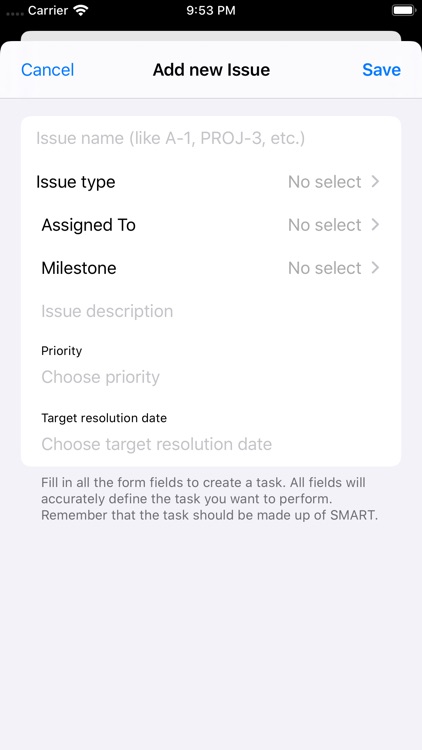 PM Issue Log screenshot-4