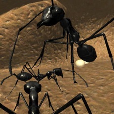 Activities of Ant Simulation 3D Full
