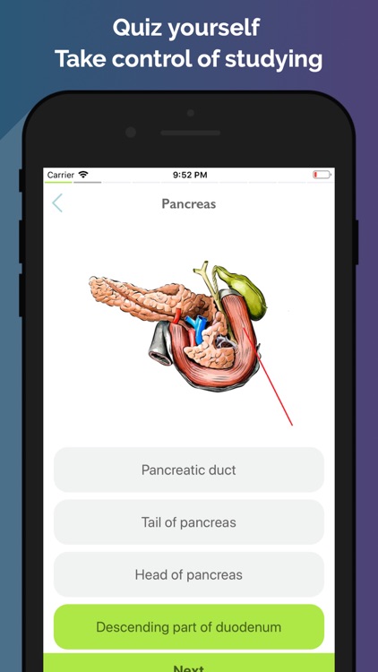 Easy Anatomy - Atlas & Quizzes