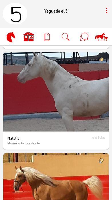 CUADRA: your horse box online screenshot 4