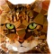 3D Polygon Effects Photo Editor