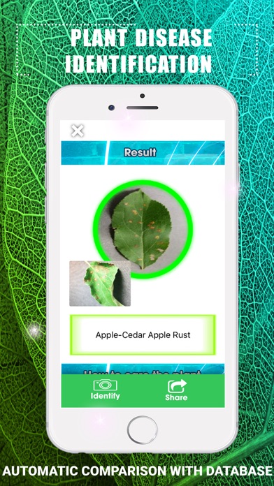 Plants Disease Identification screenshot 3