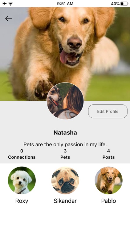 Petterly screenshot-3