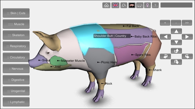 3D Pig Anatomy screenshot-6