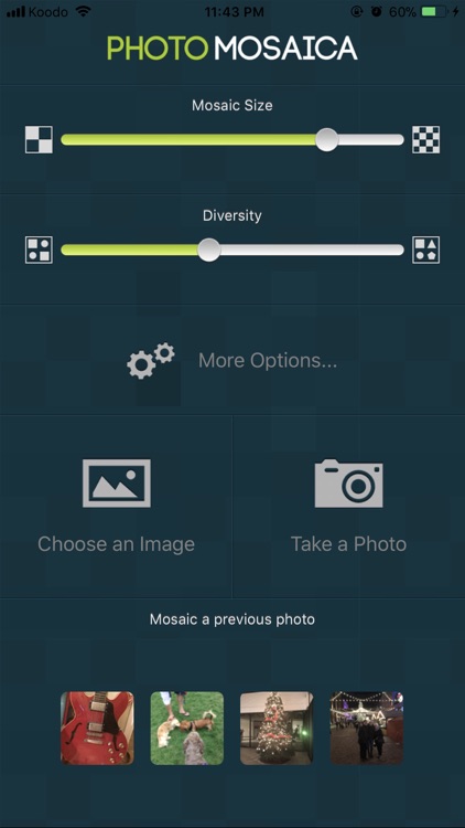 Photo Mosaica screenshot-3