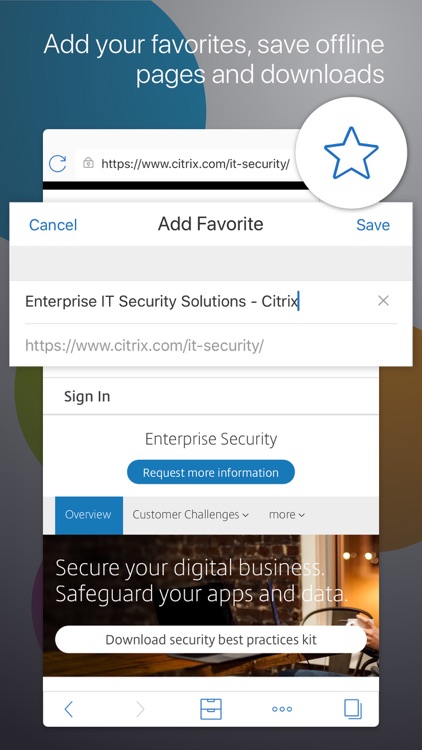 Citrix Secure Web