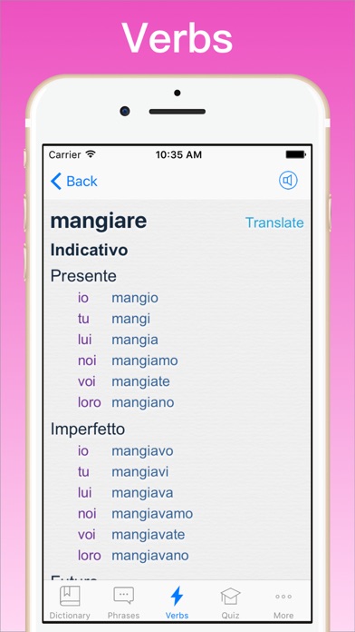 Italian Dictionary review screenshots