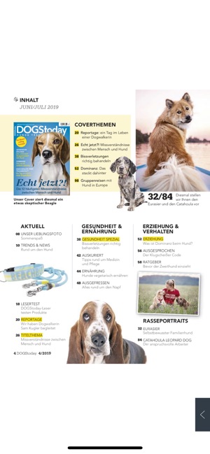 DOGStoday Magazin(圖3)-速報App