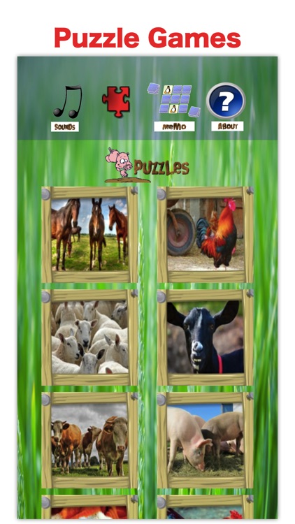Farm zoo: animal game for kids