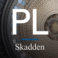 Skadden Political Law PC 용