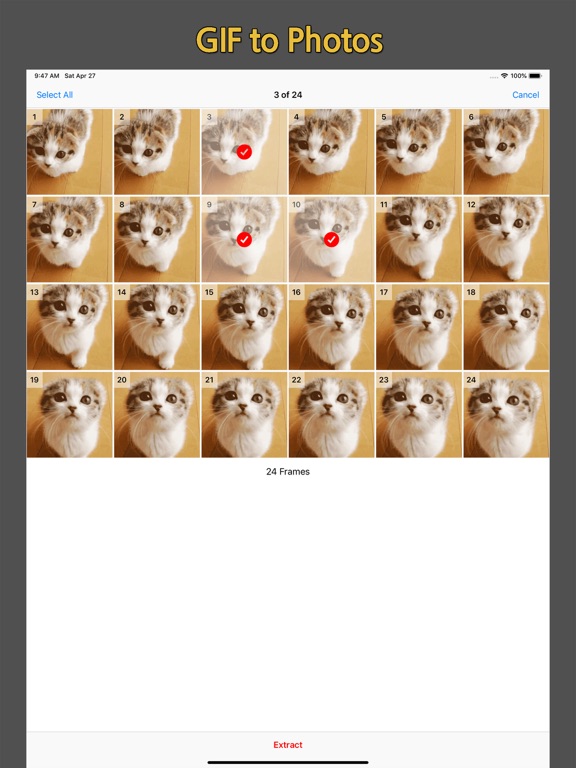 GIF Cracker - GIFs to Video and Photo screenshot