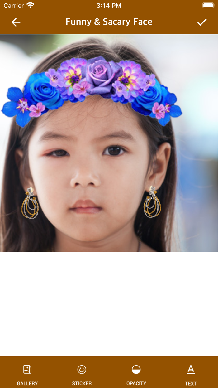 Funny  Scary Face Maker