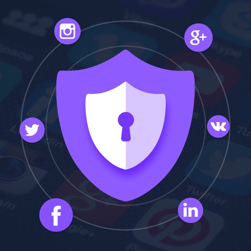 Social Security Lock Icon