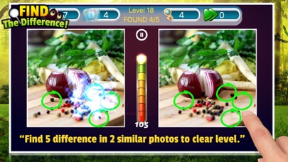 Spot the difference detective screenshot 2
