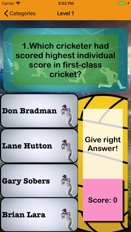 Cricket Queries