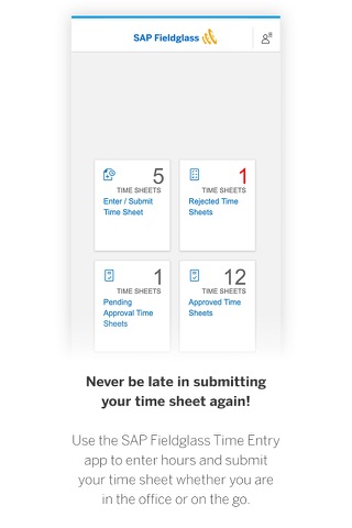 SAP Fieldglass Time Entry - náhled