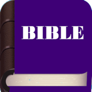 BIBLE(NLT,NIV,LSG,MSG,NKJV)