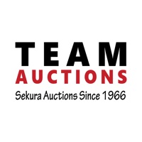 Team Auctions pour PC