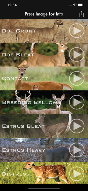 Deer Calls for Whitetail