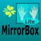 mirror-box therapy for hemiplegia rehabilitation