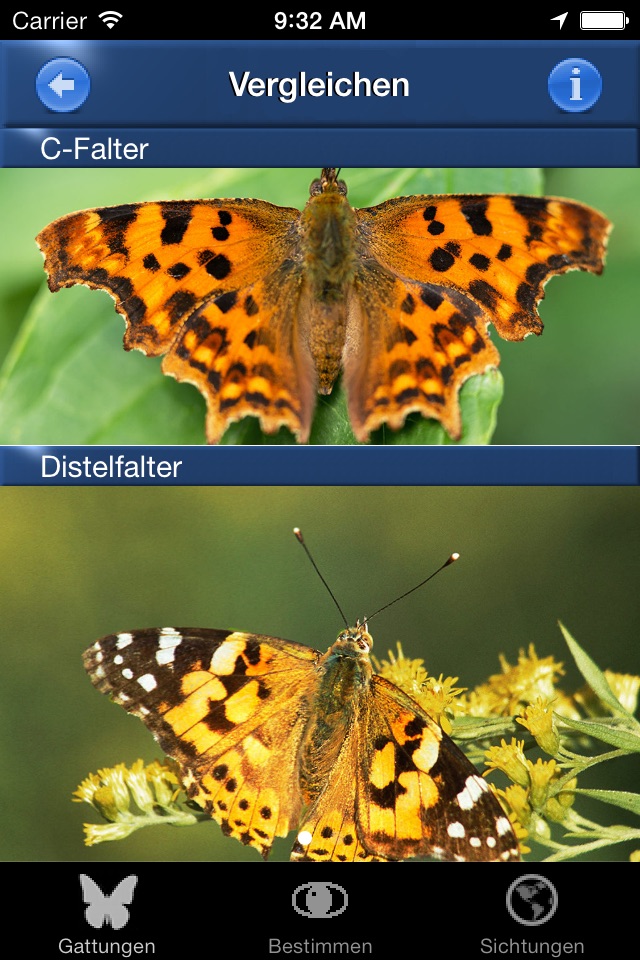 Schmetterling Id - Tagfalter screenshot 3