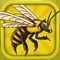 The merry old man bred bees for many years and collected beautiful honey