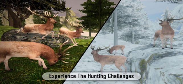 Deer Target Hunting(圖2)-速報App