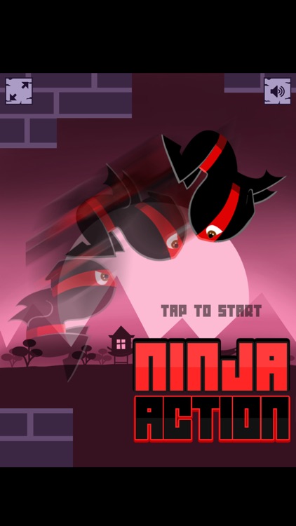 Ninja Action