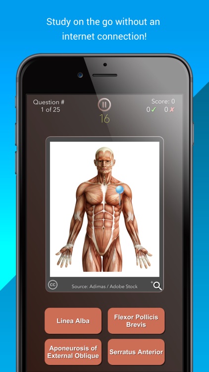 Anatomist – Anatomy Quiz Game