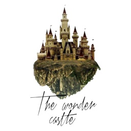 the wonder castle