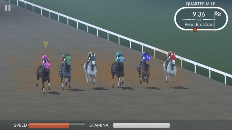 Photo Finish Horse Racing screenshot-8