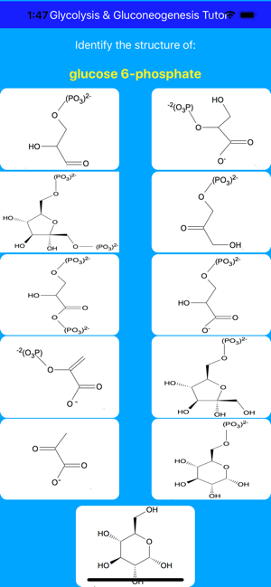 Glycolysis Glucogenesis Tutor(圖3)-速報App