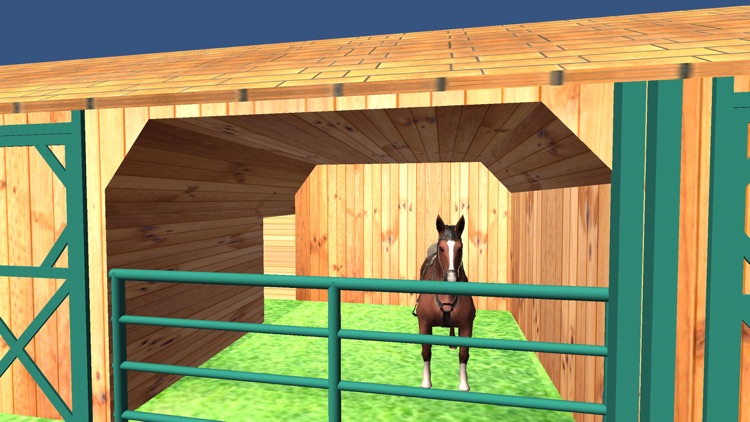 Jumping Horse Rider Simulator