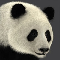 Panda AR for PC - Free Download: Windows 7,10,11 Edition