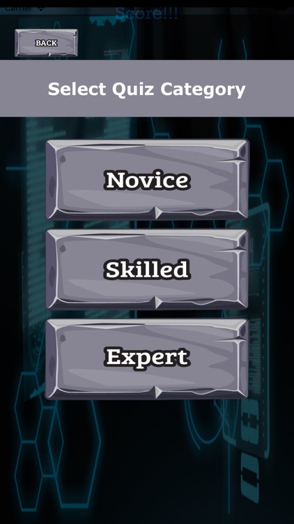 Quiz Statistics Tests