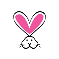  Bunny Free Application Similaire