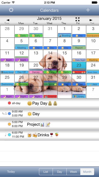 CalendarSkin