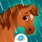 Take a chance to have a virtual pony that you’ve always wanted