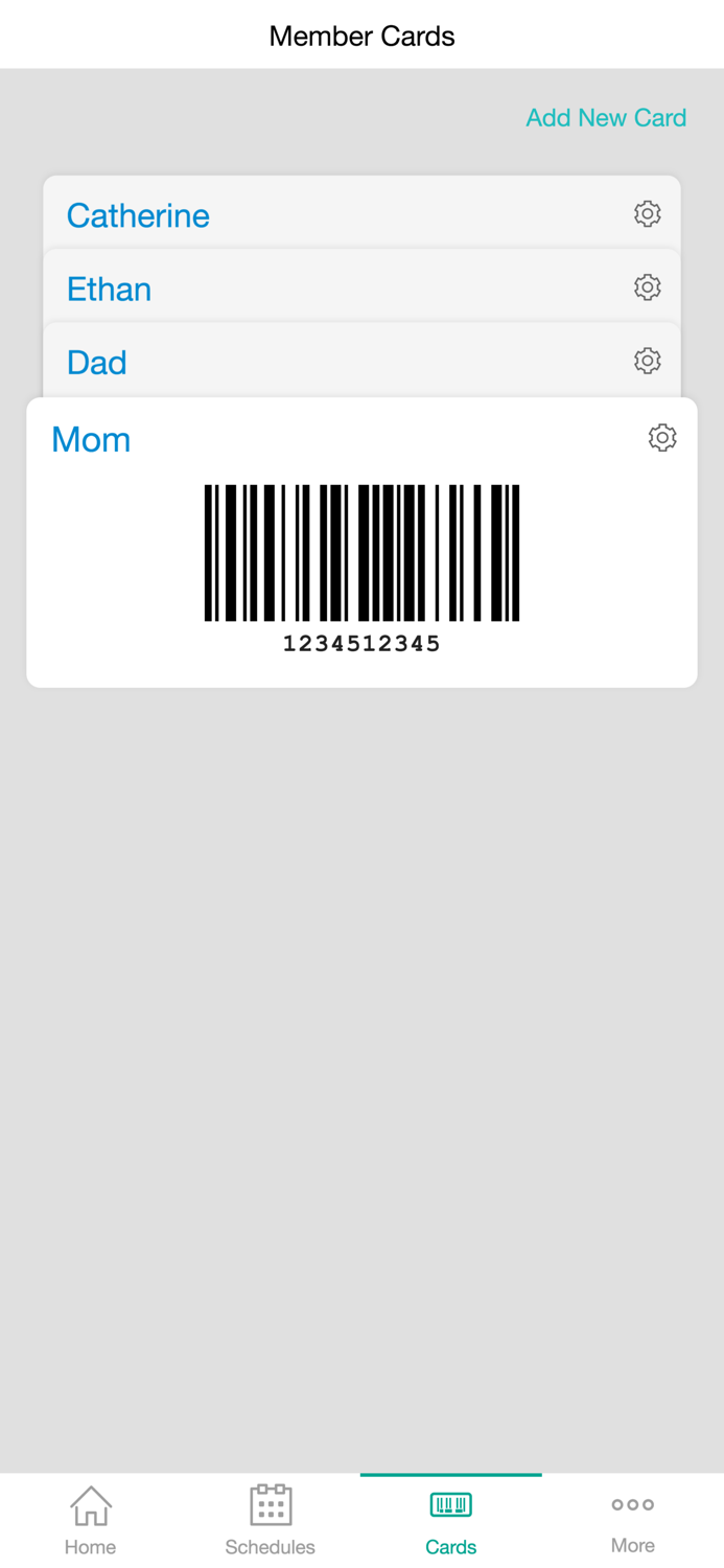 Duluth Area Family YMCA