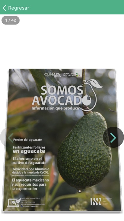 Somos Avocado screenshot-4