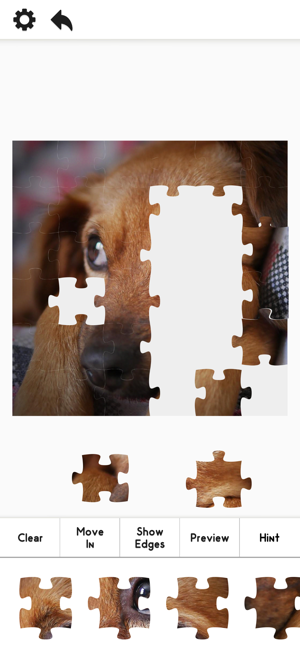 Pure Jigsaw